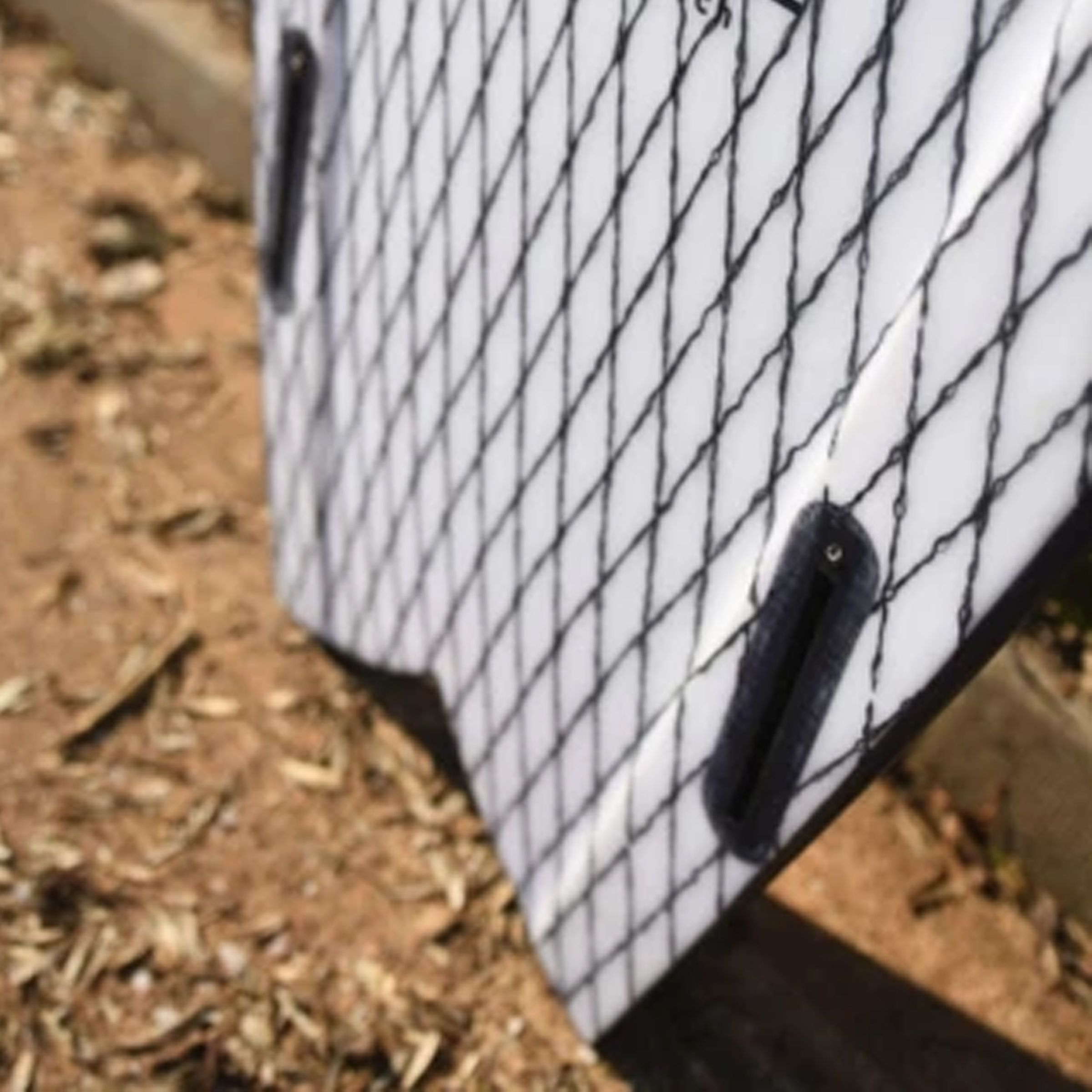 twinny_fins alone twinny_fins